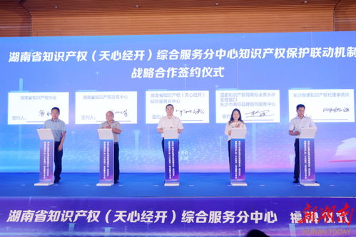 湖南知識產權服務再添新引擎 天心經開綜合服務分中心正式揭牌