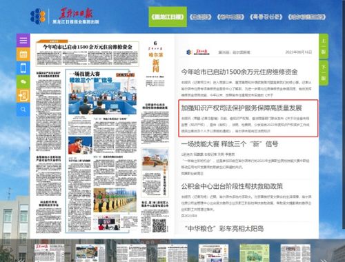 黑龍江日報 加強知識產權司法保護 服務保障高質量發展